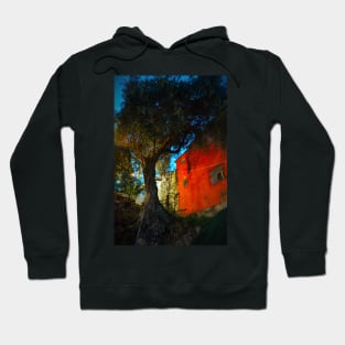 A View of Greece Hoodie